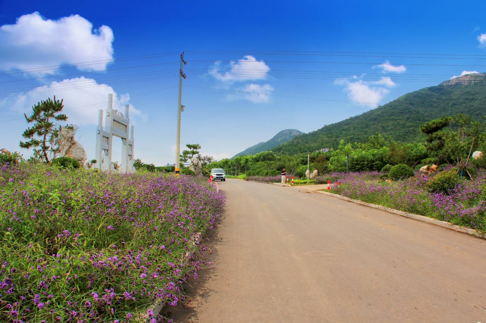 小城故事新画卷花之路漫七里店
