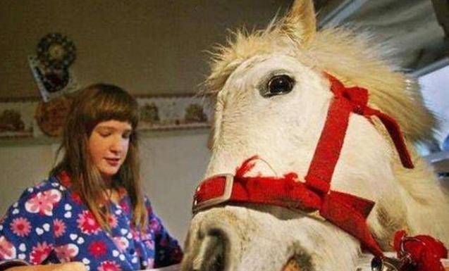 30年前,被送去非洲跟野生动物相处十几年的野生小女孩,如今怎样_蒂皮