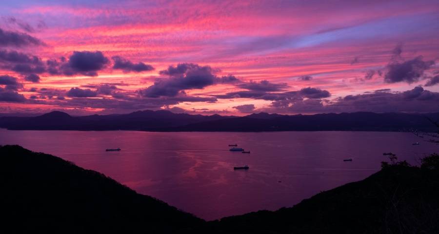 家电业上半年业绩稳步复苏,美的格力海信索尼乘风破浪!-家电圈官网