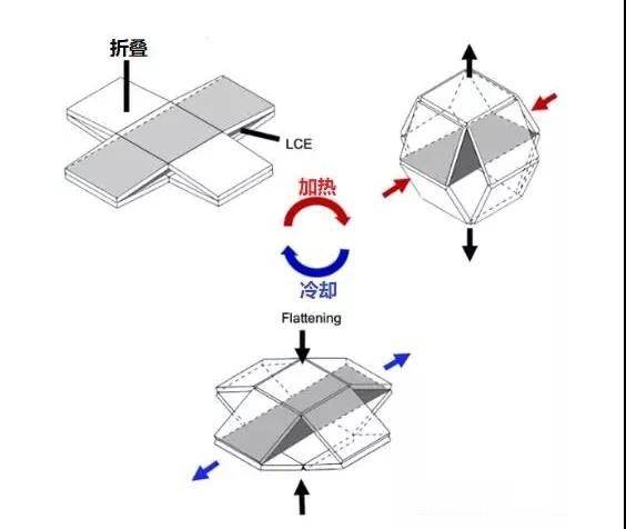 这款自动折叠机器人,能抬起比自身重38倍的物体
