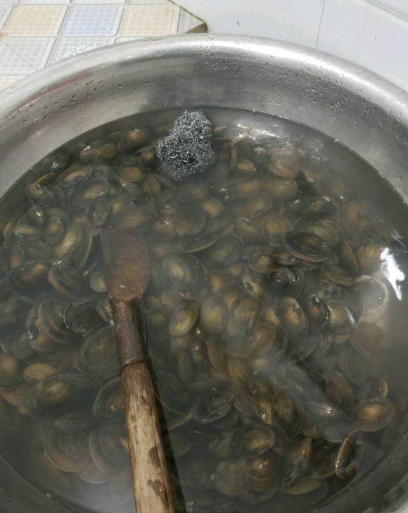 河里的河蚌能吃吗 来自搜狐网