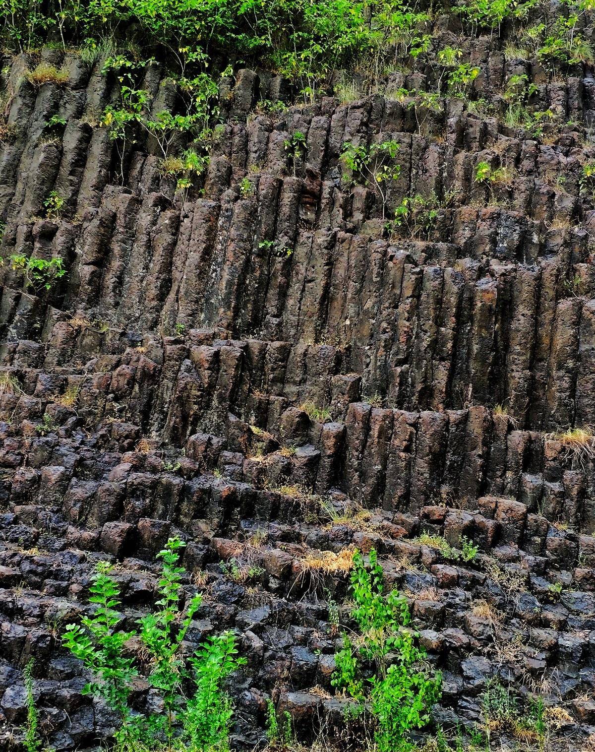 六合石柱林有垂直,有放射状排列形式,这种地质景观实属罕见_火山
