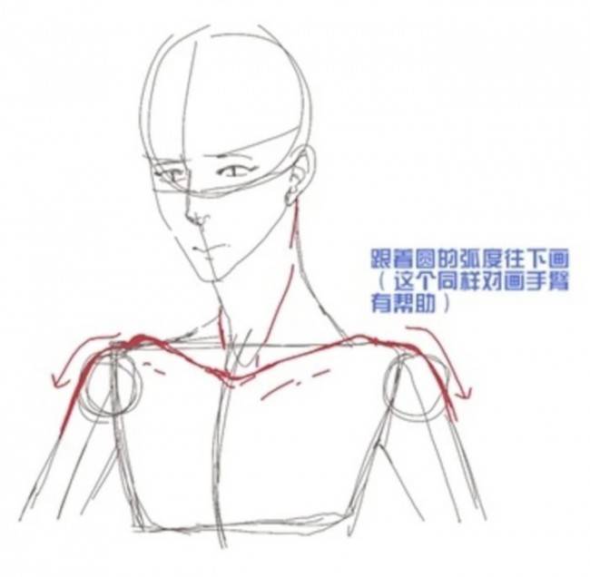男性頭部頸部與胸部繪畫技巧肩的關係結構示意圖