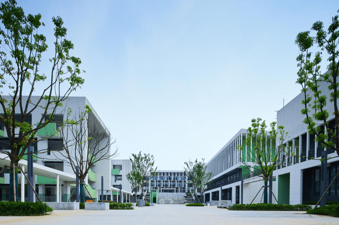 南外仙林分校华侨城小学将迎来第一批小学生