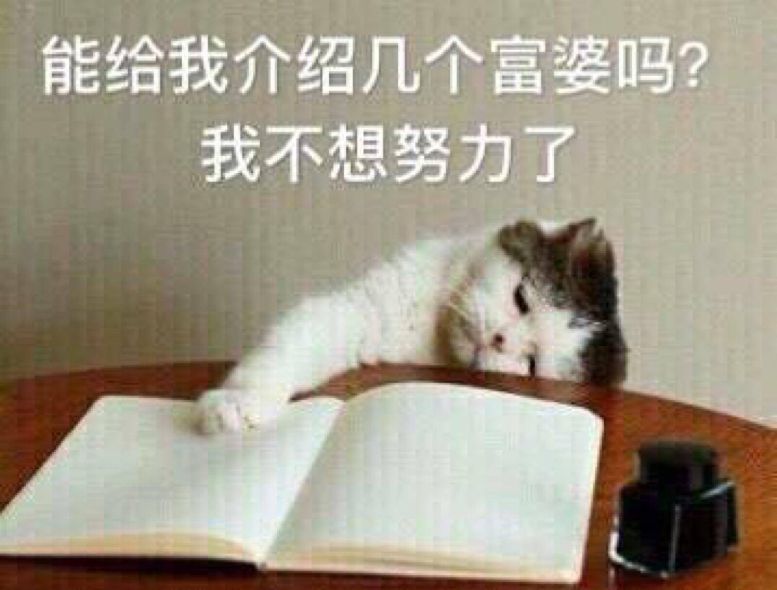我不想努力了 来自搜狐网