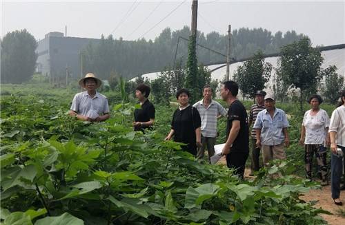 唐山市古冶区张坤图片