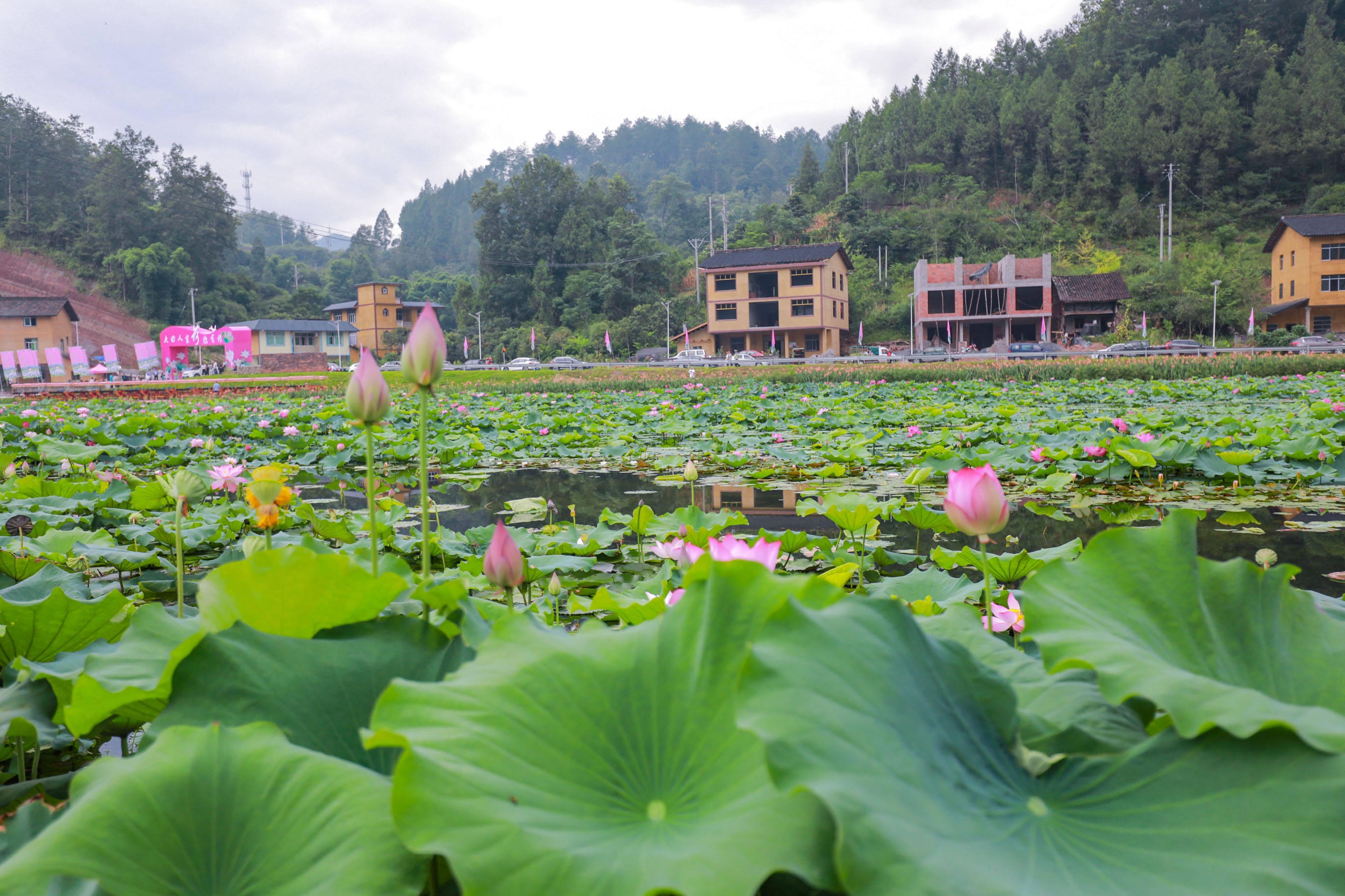 双喜临门!武隆两大乡村旅游点今日同时开园