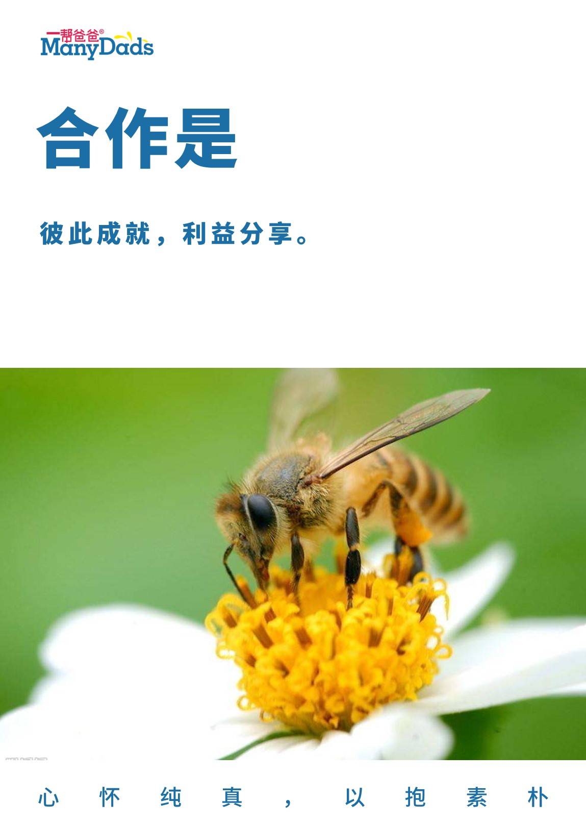 56来源:                             广东一帮爸爸 合作是 彼此成就