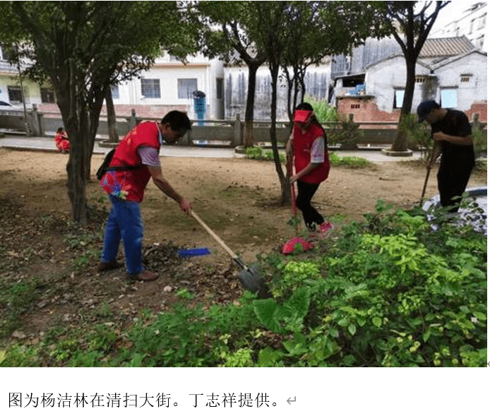 我為家鄉環境做貢獻——大學生返家鄉實踐志願者活動