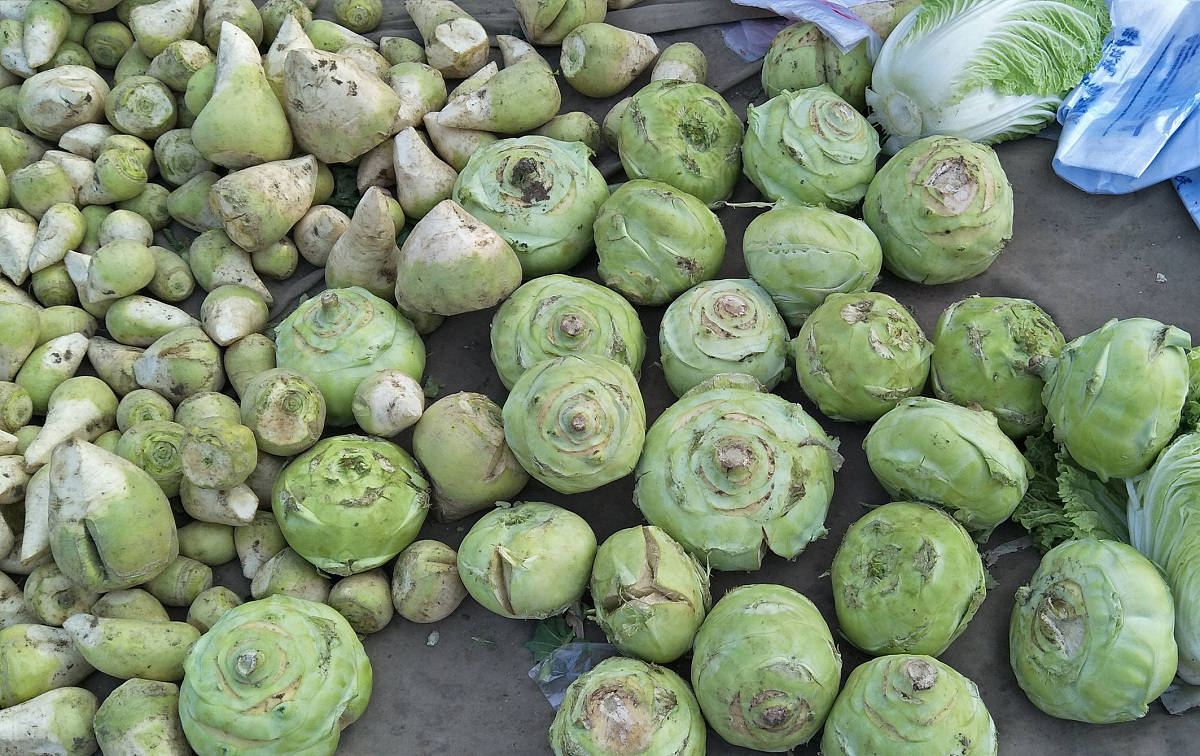 亩产7000斤,和萝卜傻傻分不清,过去的救命粮,如今的