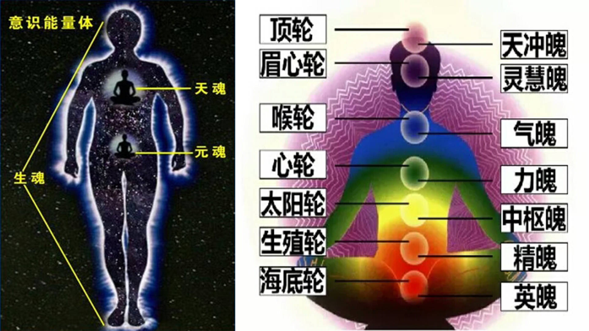 七魄对应身体的位置图图片