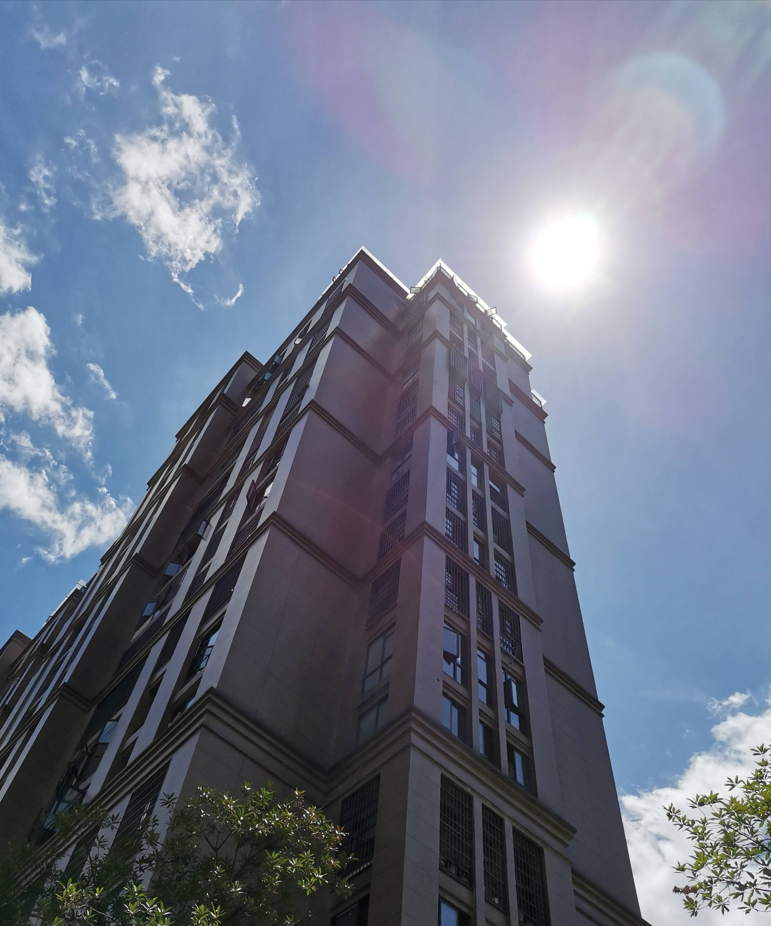 艳阳当空照,温暖心中流