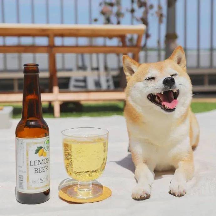 图片[11] - 【xizi被窝段子20200818】人生的旅程就是这样：用大把时间迷茫 在几个瞬间成长 - xizi