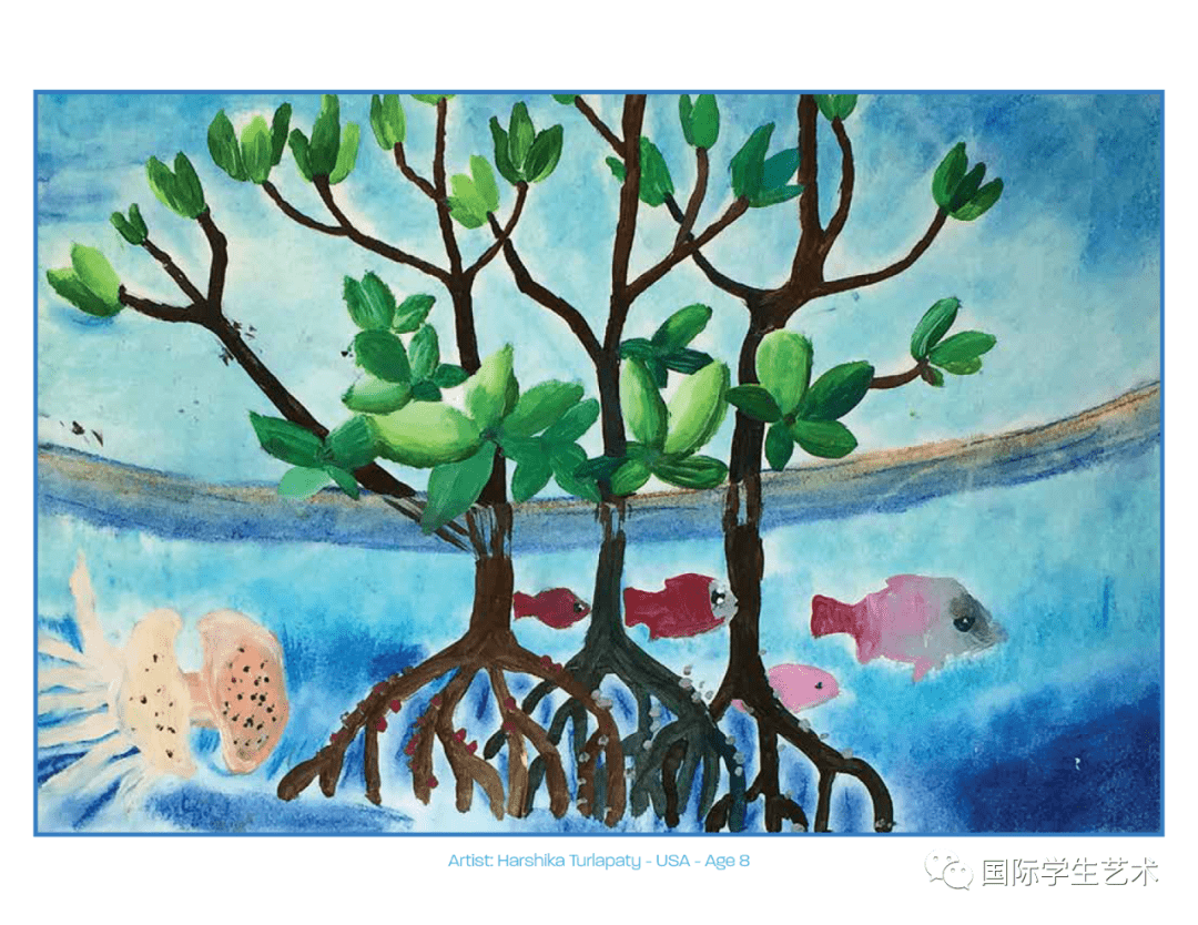 赛事丨美国第20届红树林艺术比赛