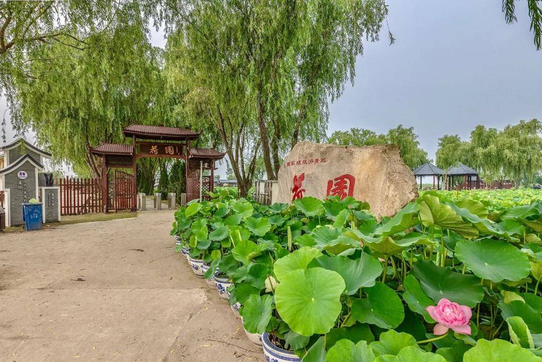 游荷园记/陈以华_手机搜狐网