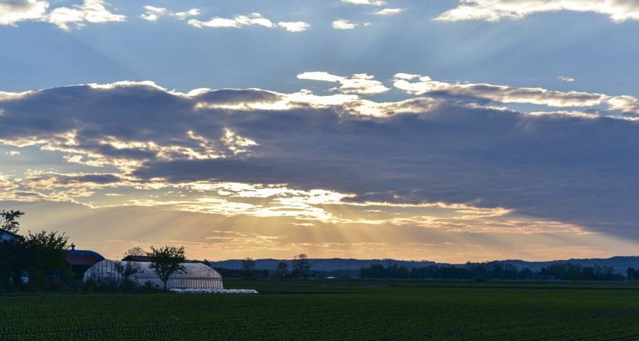 低价仍然是未来几年家电市场的主角-家电圈官网