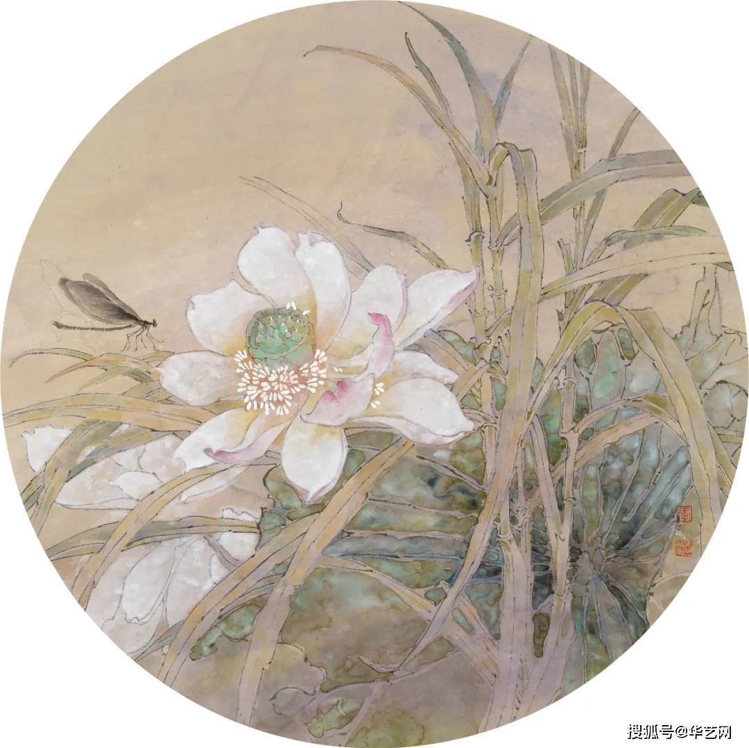 芳华 · 花季 | 爱君线描写生作品集-搜狐大视野-搜狐新闻