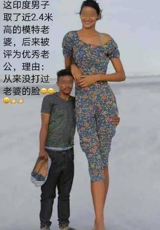 原创朋友买了两条鱼我越看越不对是我想多了吗哈哈撞南墙了吧