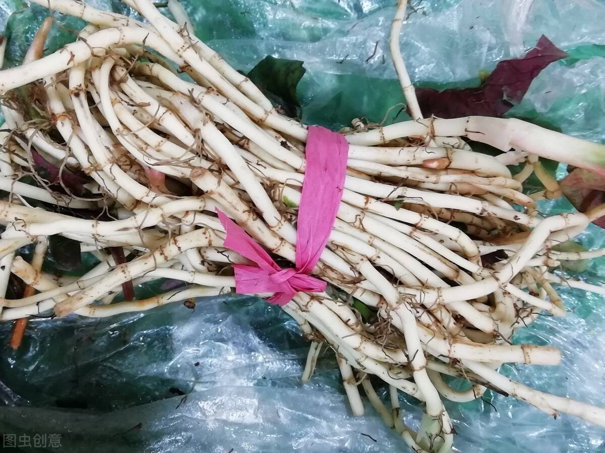 医生这3种食物最好不碰不然你的尿酸会变高痛风也会招惹你