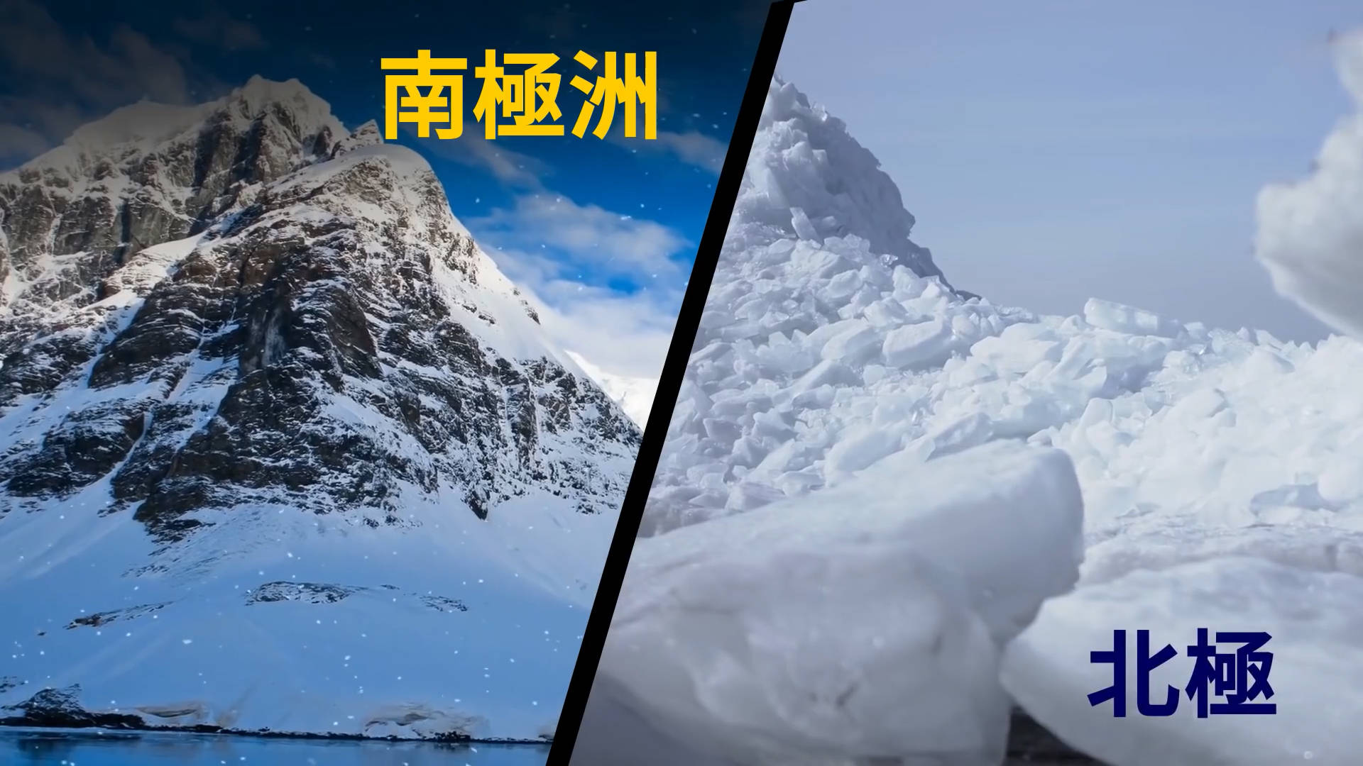 为什么南极会比北极冷原来是因为这三点看完涨知识了