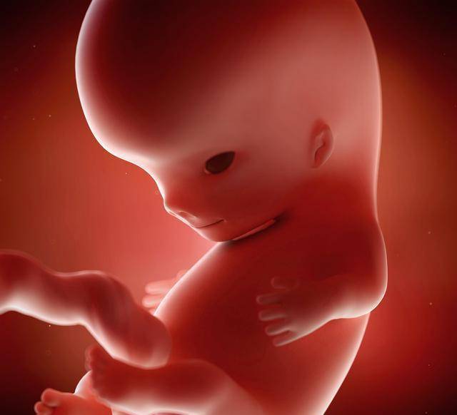 原创怀孕4个月为什么有的孕妇能感觉到胎动而我感觉不到胎动呢