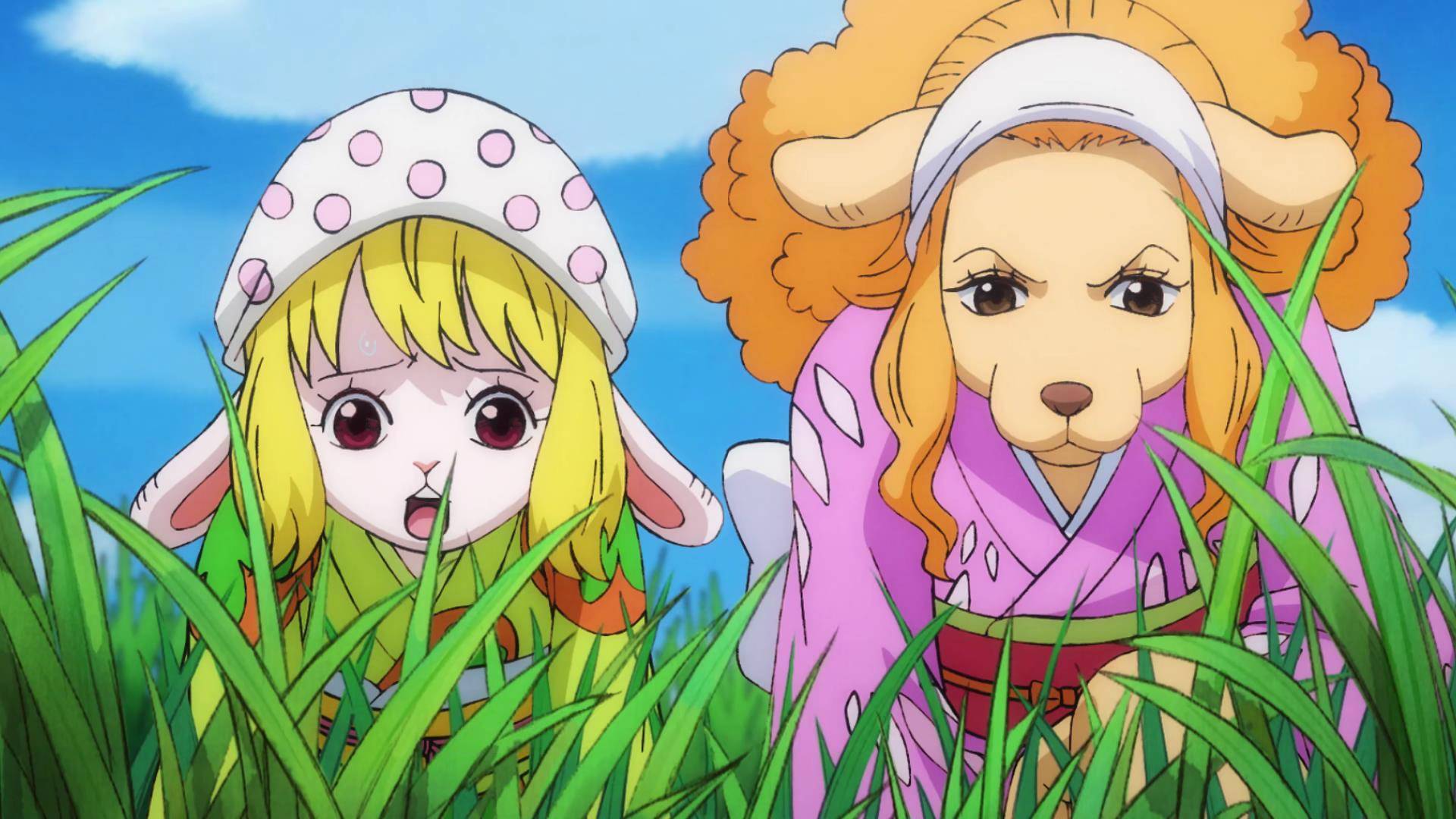 海贼王:路飞找奎因约架,索隆被小紫睡他没有发觉的原因找到了