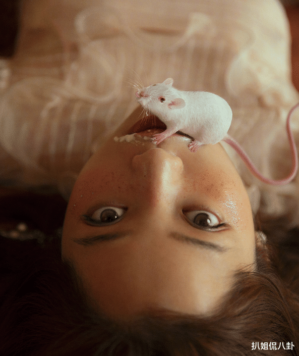 欧阳娜娜拍杂志拿老鼠遮嘴满脸蝎子,网友都说毫无美感,内心不适