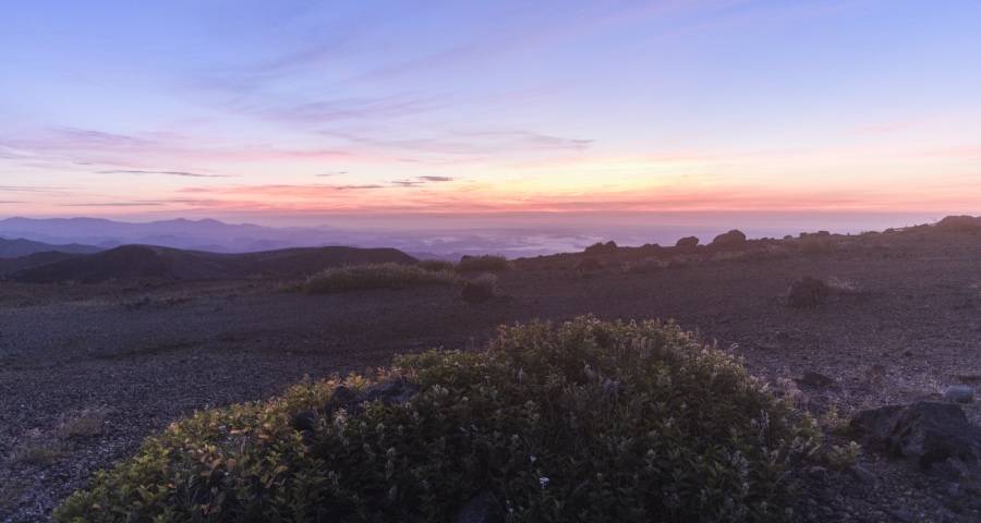 中国企业正在开创世界家电的新格局-家电圈官网