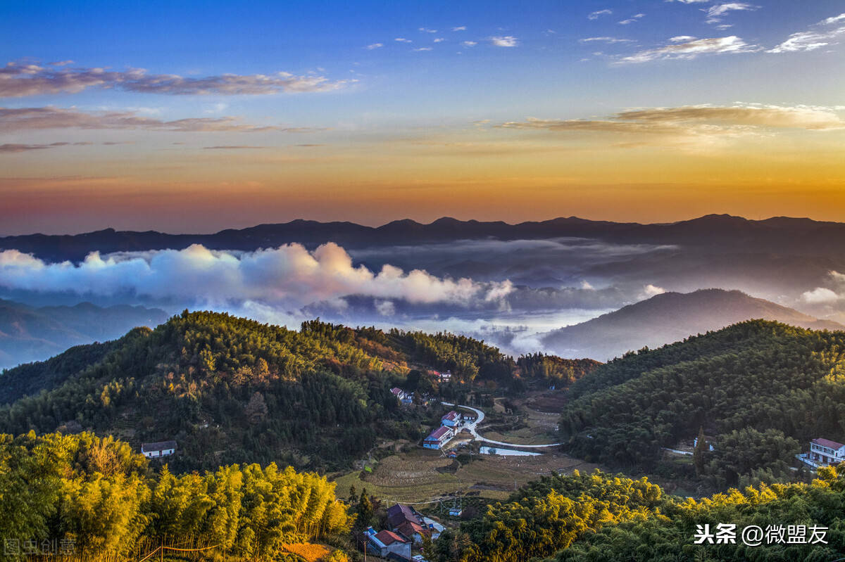 中国大别山—英山云雾茶的传说_安徽省