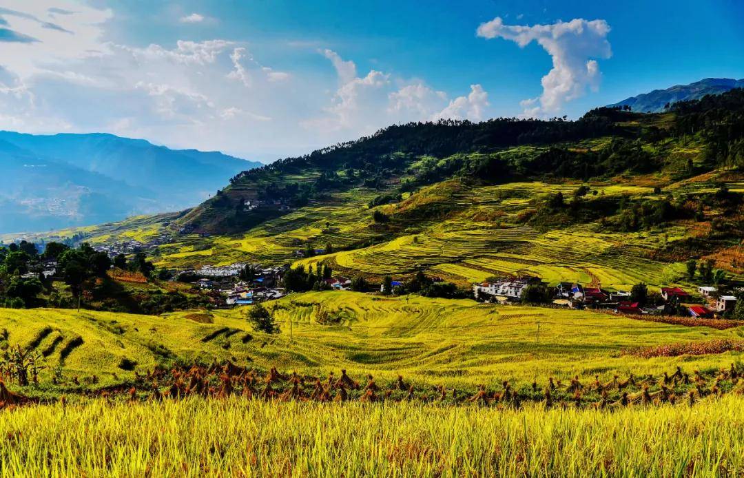 田园画卷甘洛普昌阿尔梯田春秋时节美如画