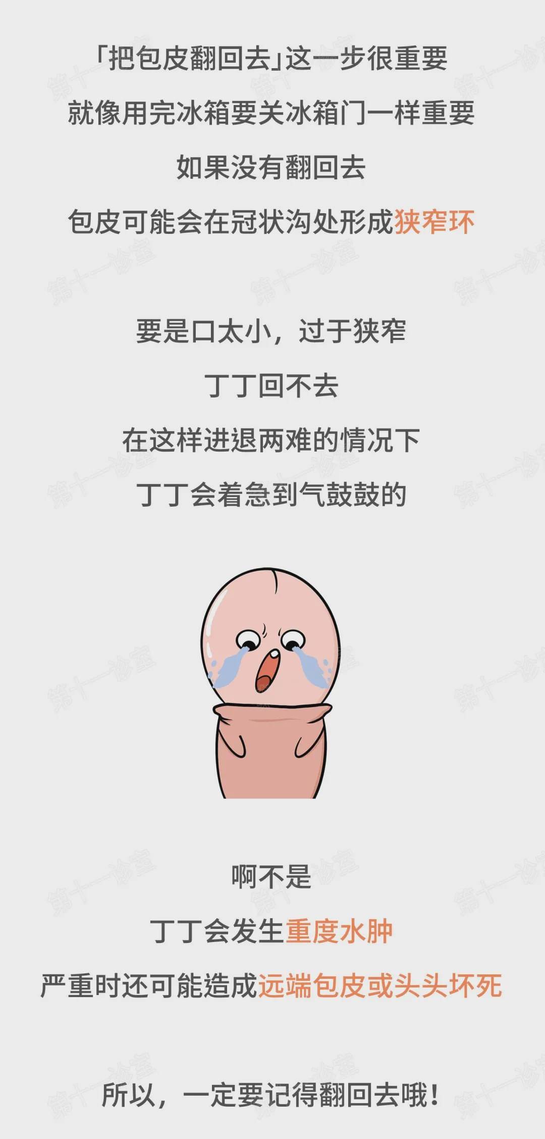 不正经科普关于男友丁丁的一些小秘密姑娘们都该知道