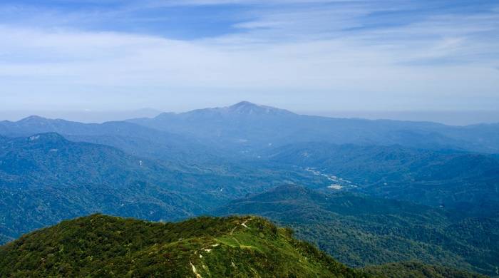 冰箱做得再好也只是冰箱!海尔突破硬件局限发力食联网-家电圈官网