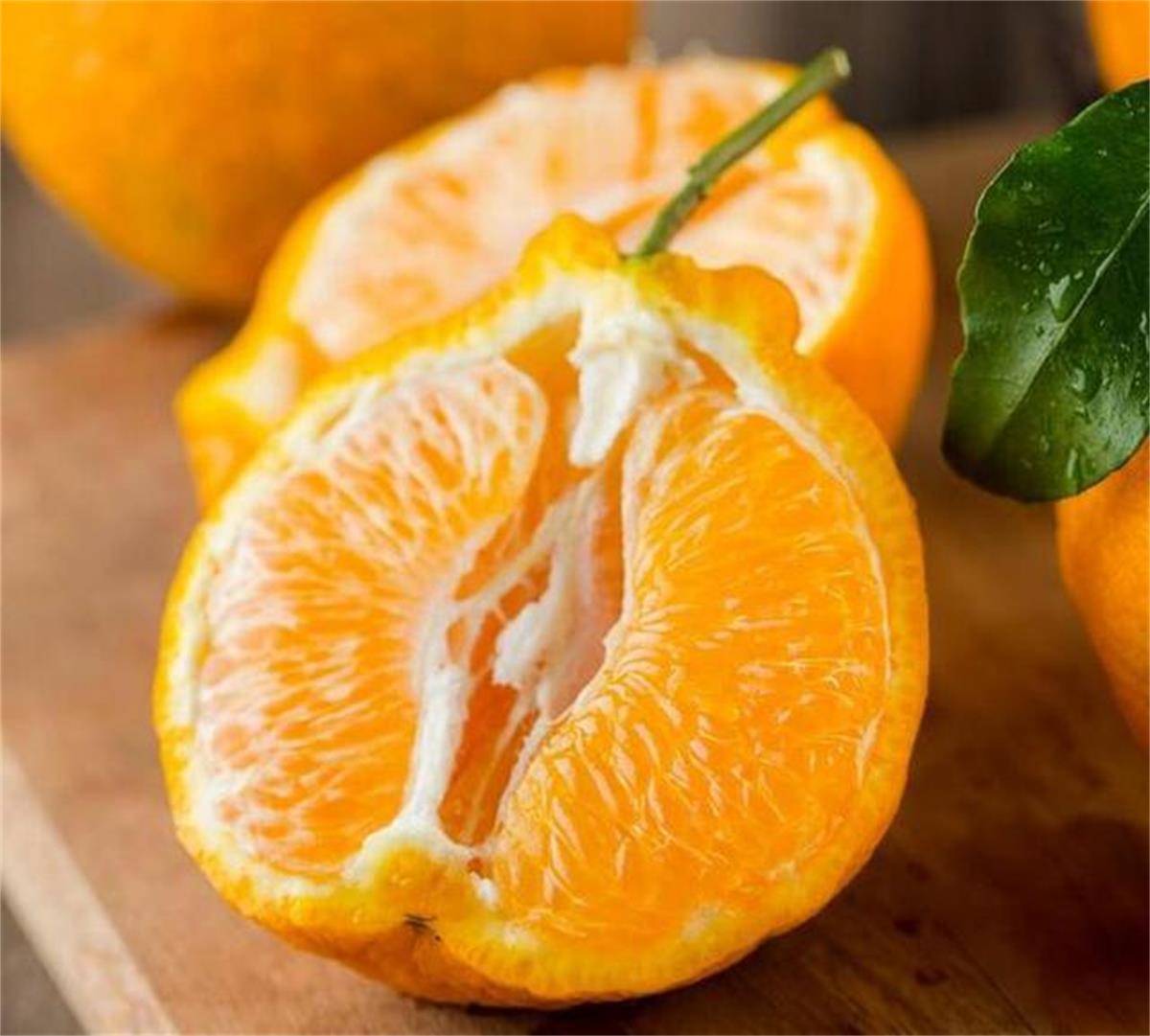 黄美人柑橘苗批发柑橘苗种植技术