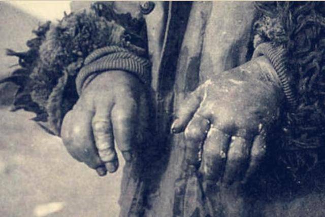 还有所谓的"母性实验",残忍,血腥,恐怖到令人难以想象.