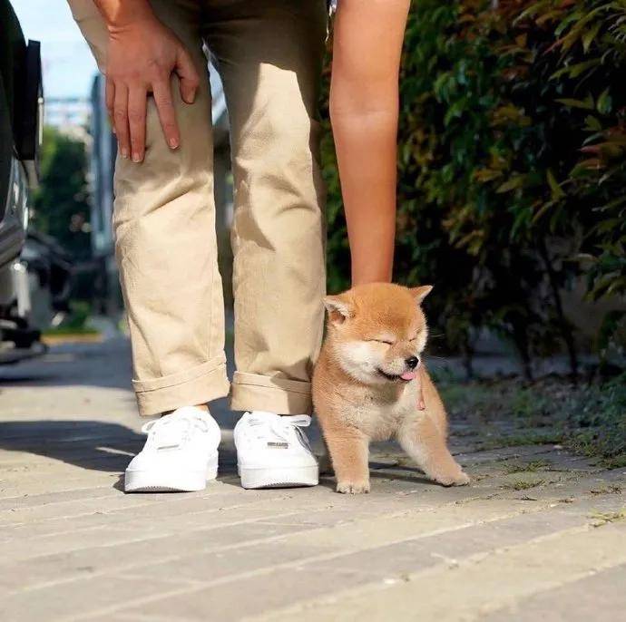 图片[18] - 【xizi被窝段子20200828】别跟往事干杯 往事都快吐了 - xizi