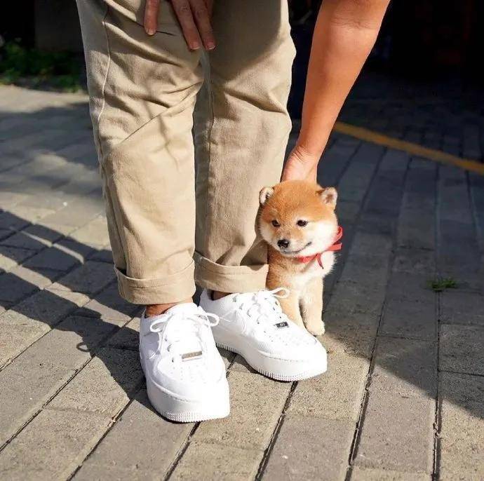 图片[19] - 【xizi被窝段子20200828】别跟往事干杯 往事都快吐了 - xizi