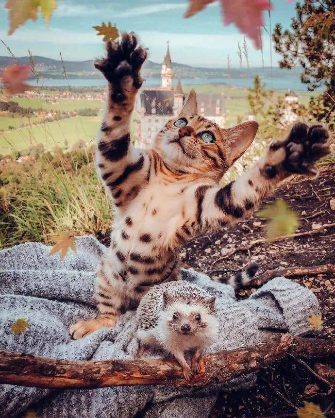 图片[5] - 【xizi被窝段子20200828】别跟往事干杯 往事都快吐了 - xizi