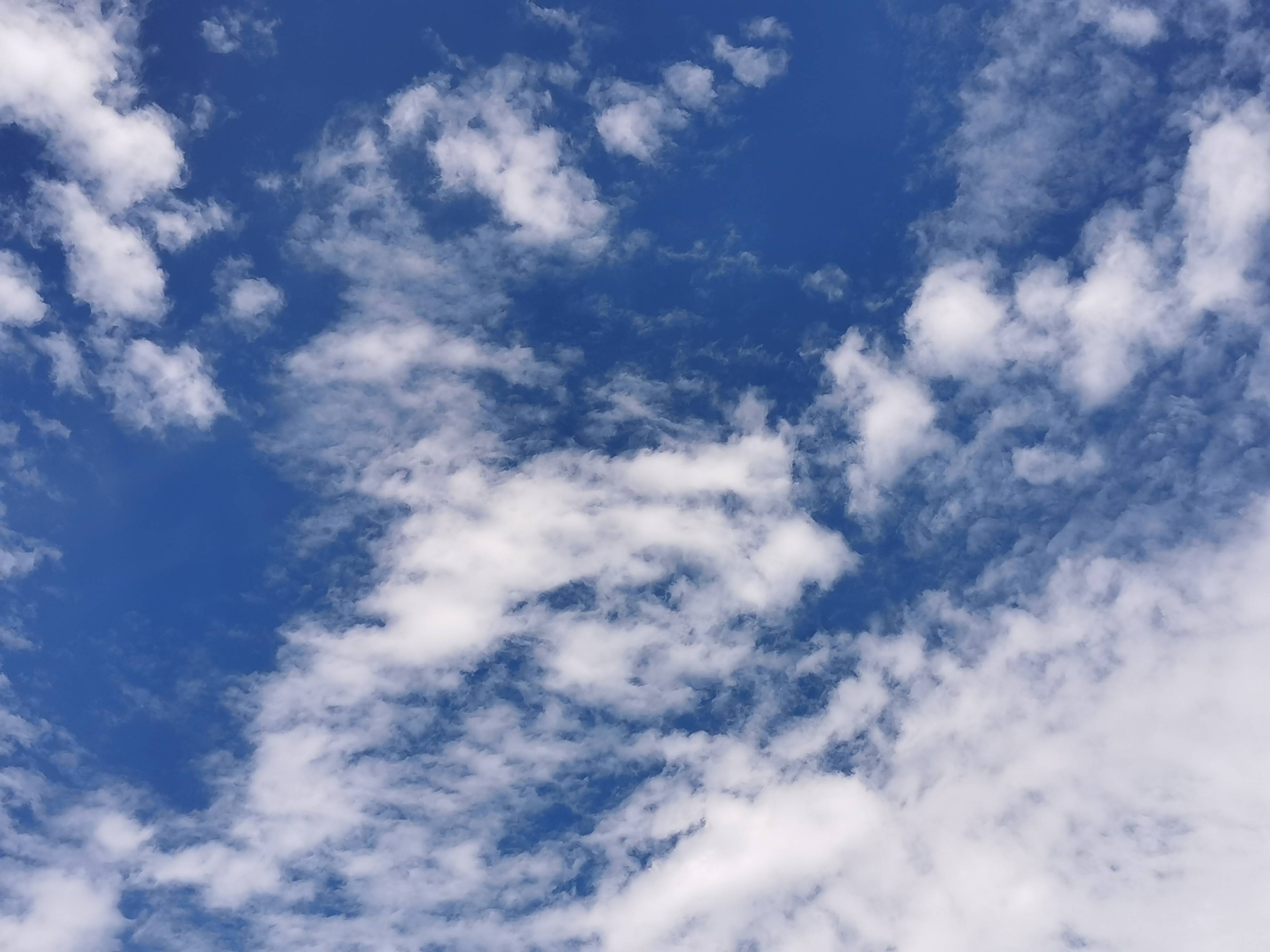 律途文韵早秋偶吟诗一首