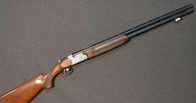 短管霰弹枪原型图片