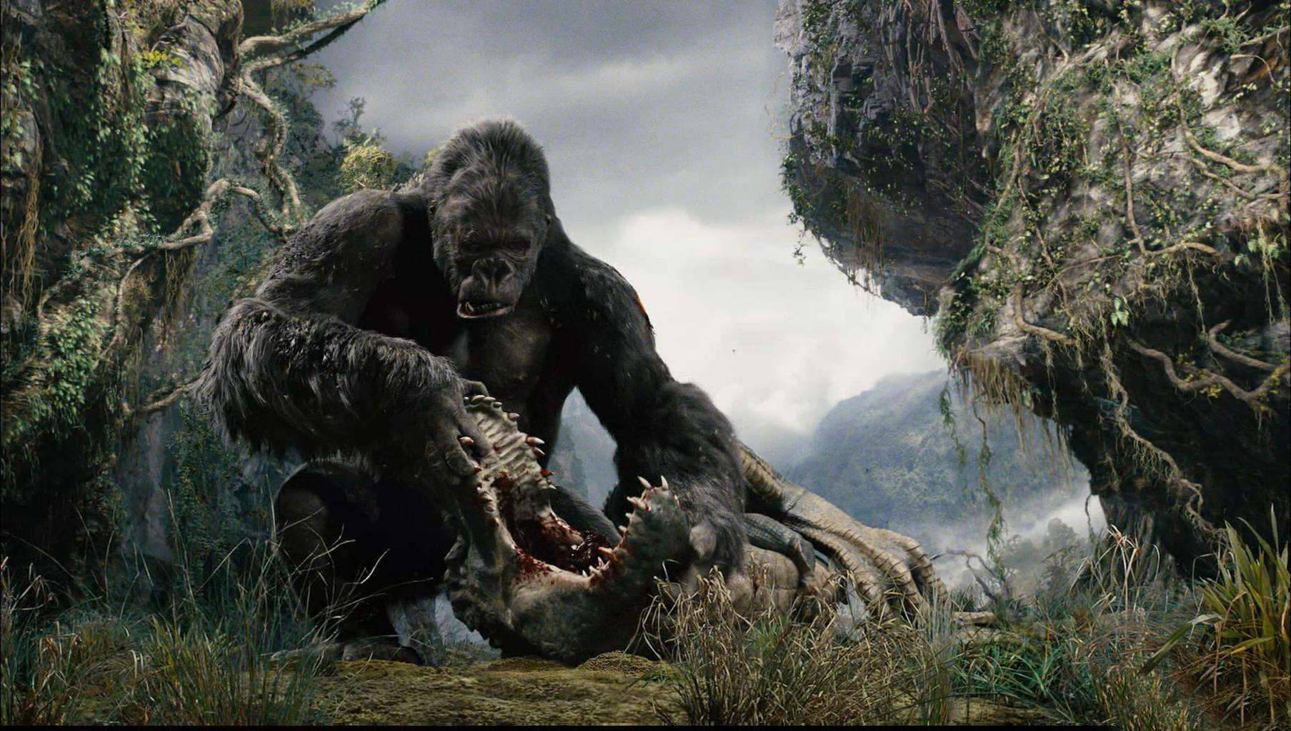 奇闻:1200万年前的金刚巨猿,身高3米多,重600公斤,咬合力恐怖