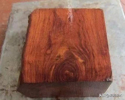 世界上最贵的木材排名（比黄金还贵200倍的木头）