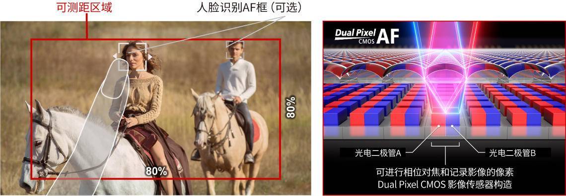 麦田守望者——看XA55记录《成长》的故事