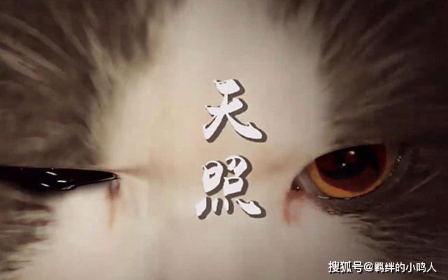 天照宇智波鼬因为豪火球被佐助压制,所以他使用者万花筒写轮眼的能力