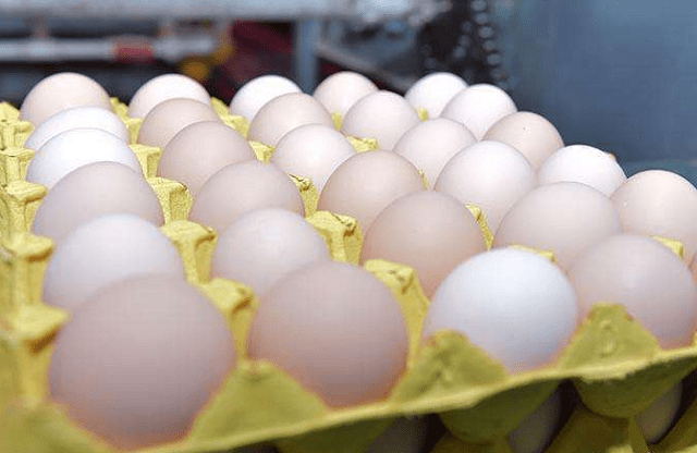 学会这5招,认清人造鸡蛋,以后再也不怕买到不好的蛋了
