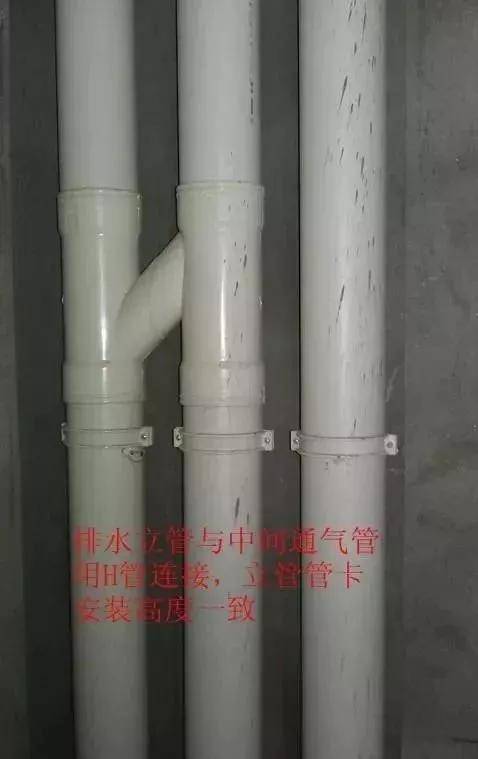 排水立管与中间通气管用h管连接,立管管卡安装高度一致底层排水塑料管