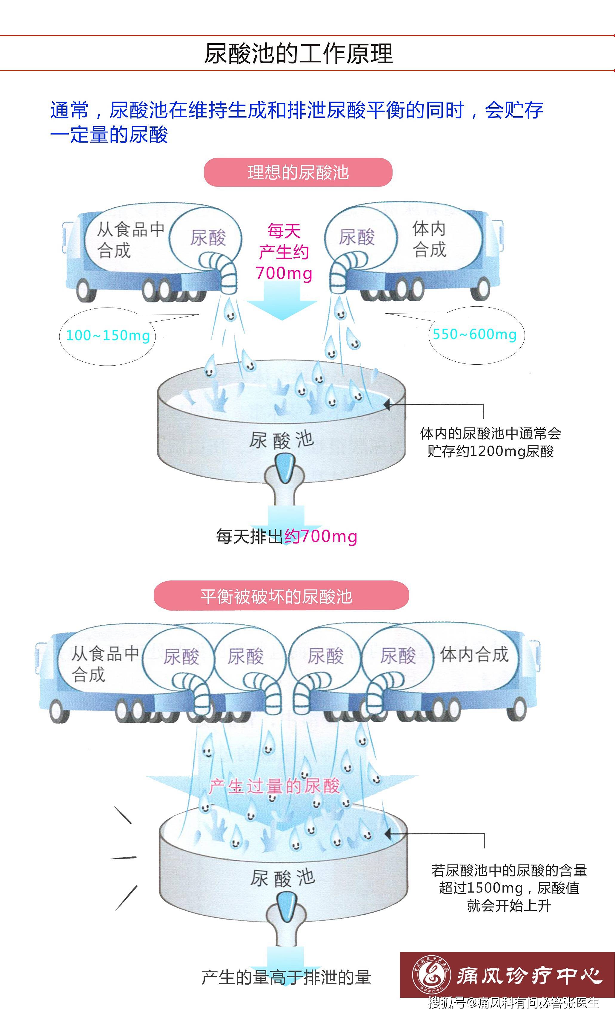 痛风定胶囊降尿酸原理图片