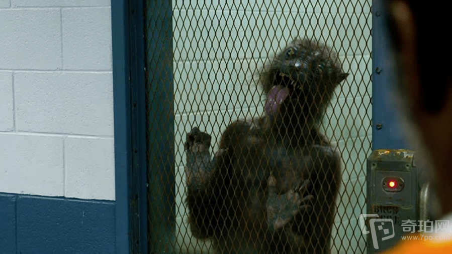 4k蓝光原盘x特遣队全员集结4k电影uhd蓝光原盘资源即将发布