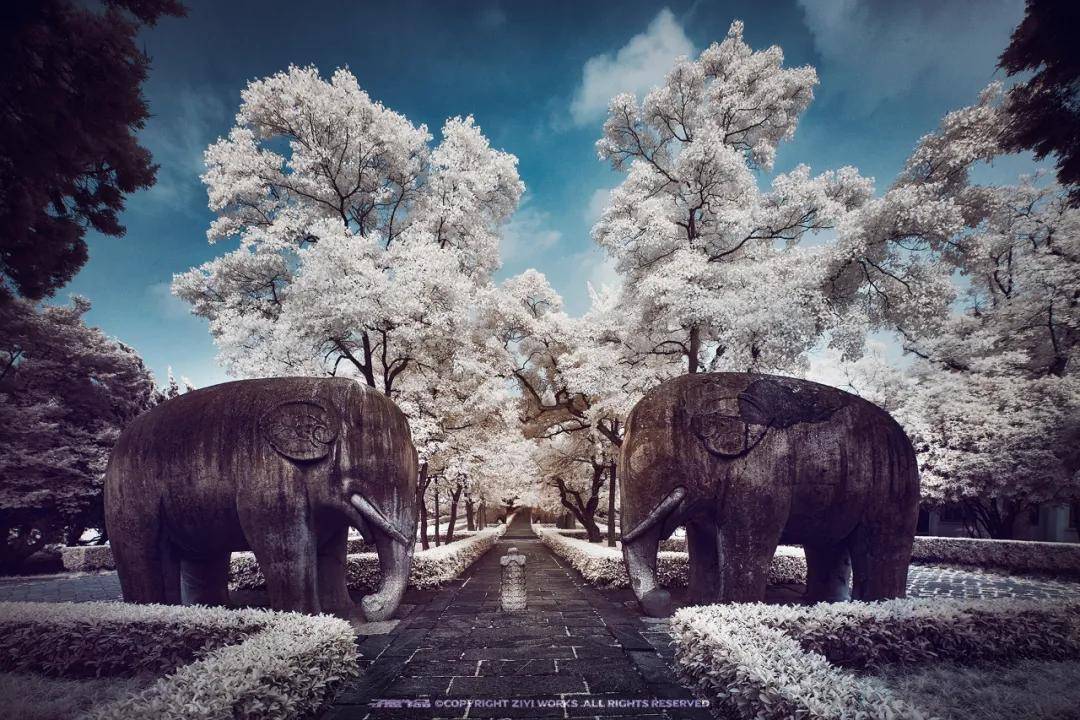 什么是红外摄影师？三步教你学会红外摄影_画面