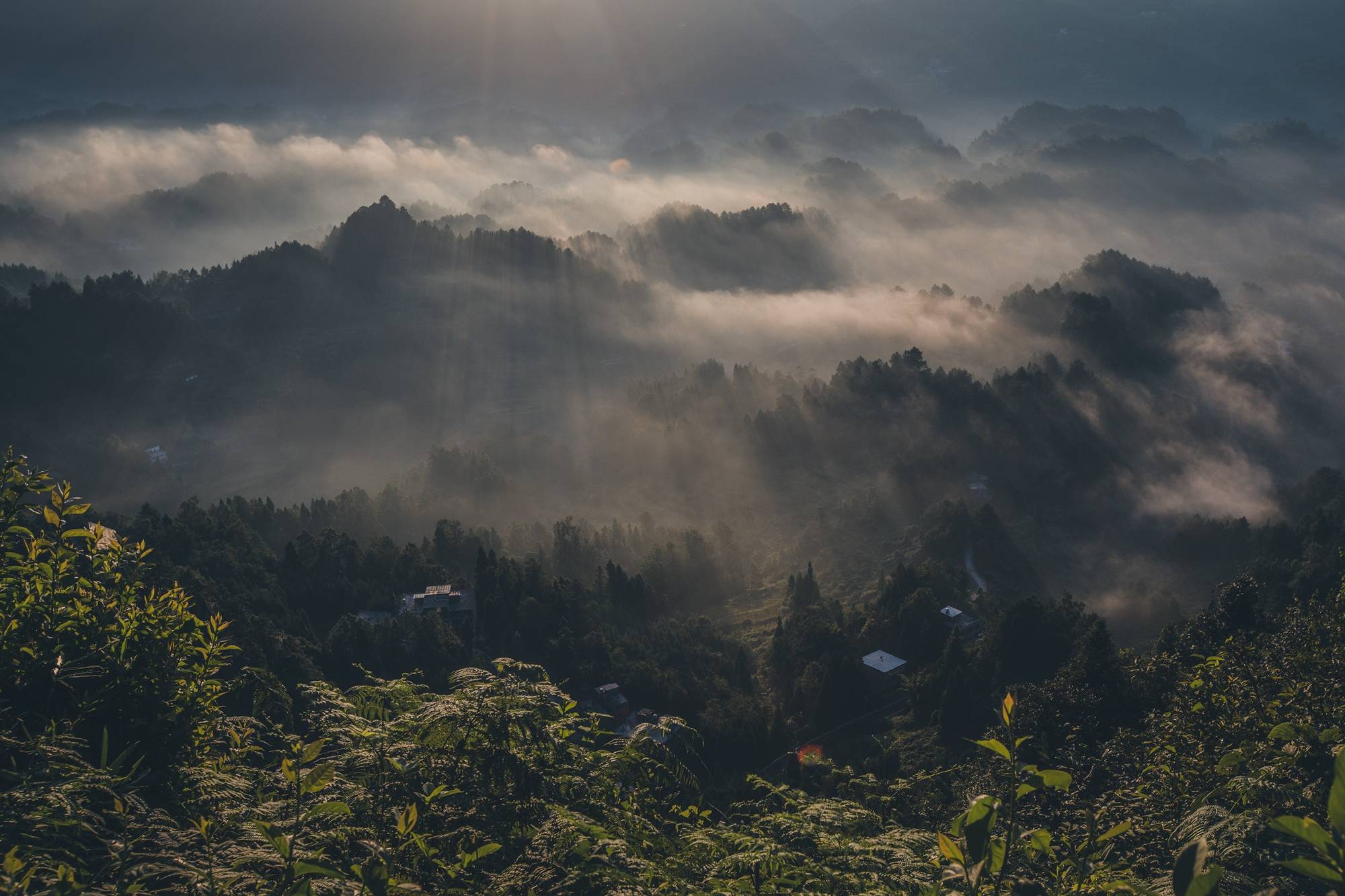 贵州梧桐山图片