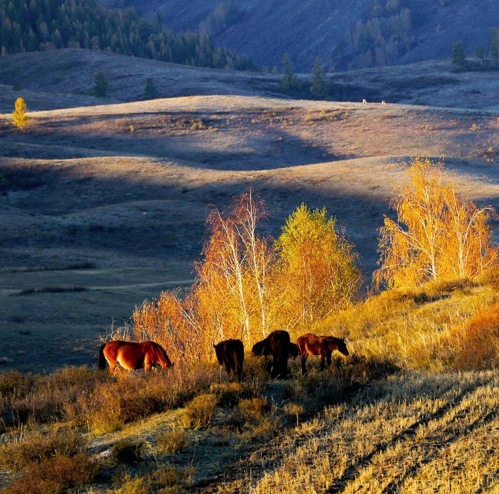 收好这份秋色地图,这个秋季,再也不用发愁去那里!_手机搜狐网